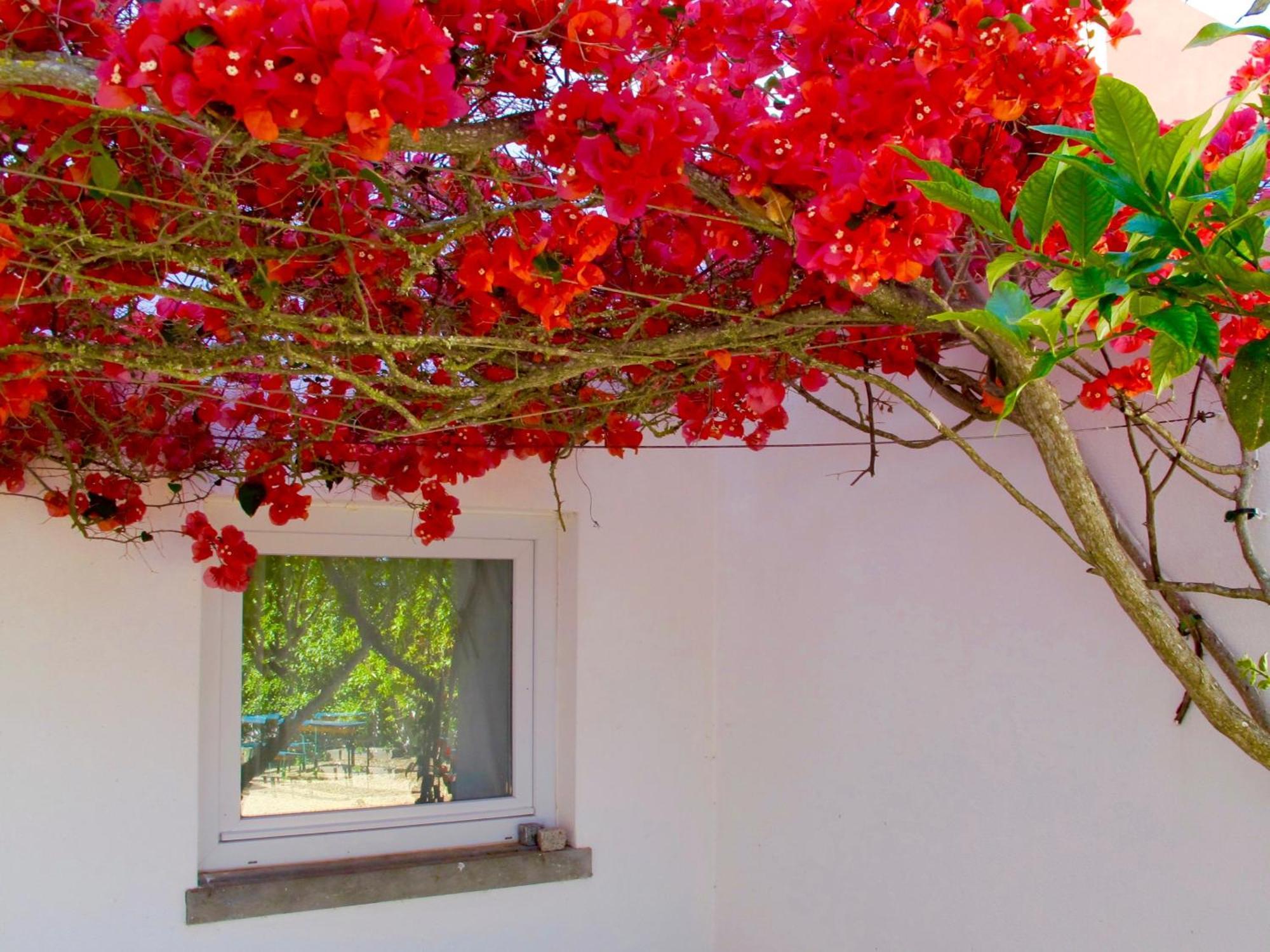 Seaya Villas Cascais Bilik gambar